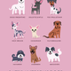 Illustration for article titled Adorable Drawings of Dog Breeds, Grouped By Their Place of Origin